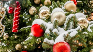 Snow-covered Christmas tree with red and gold ornaments