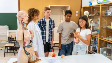 Students learning human anatomy in biology class