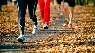 Runners on a road race in autumn