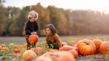 Two little boys having fun in a pumpkin patch