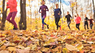Group of women running together in autumn
