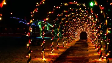 Holiday light tunnel