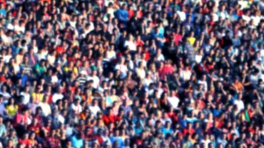 A crowd of spectators in a stadium
