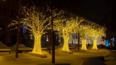 Side view of group of gold colored illuminated tree shaped artificial Christmas city street decorations at night. Select