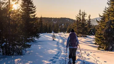 Young woman snowshoe hiking in a sunset forest