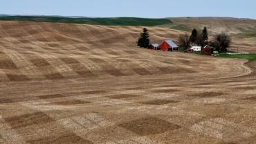 Missoula Photographer Goffe - Tartar