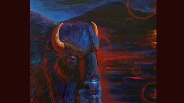 Dusk Buffalo