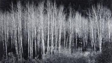 Glacier National Park  Ansel Adams