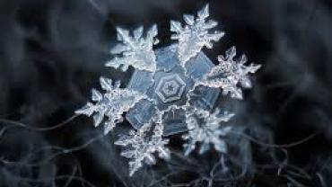macro photo of snowflake