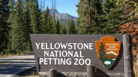 Yellowstone National Petting Zoo