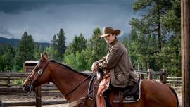 Yellowstone TV Series Cowboy