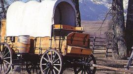 chuck wagon