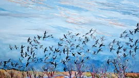 birds