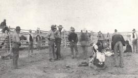 19 Cowboys at Spring Calf Branding Time