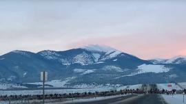 Elk herd outside Deer Lodge