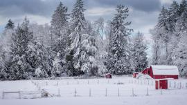 Snowy farm