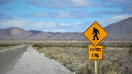 Bigfoot Xing