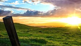 Fence sunset