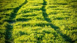 Tire tracks in grass