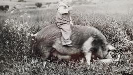 Foster Tusler riding a future ham