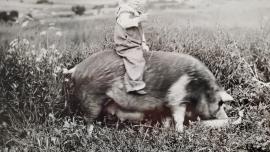 Foster Tusler riding a future ham