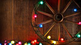 xmas lights 