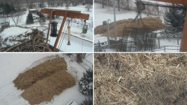 Montana winter gardening