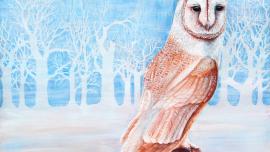 barn owl painting