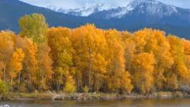 Fall in Montana