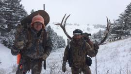 big game hunting Montana