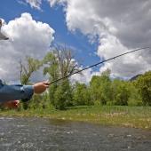 Catch of the Day | Photo by Carol Polich