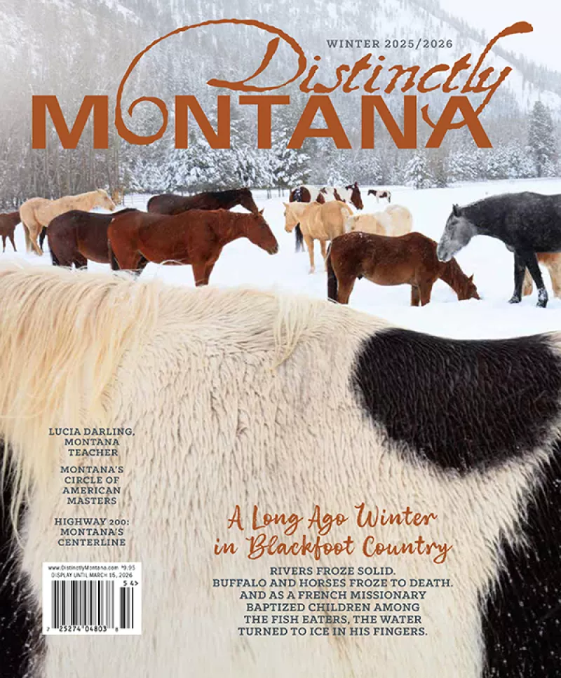 2025-26 Winter Cover