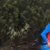 12-year-old stalked by gigantic grizzly bear