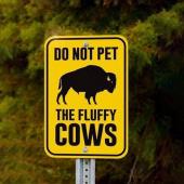 Do Not Pet the Fluffy Cows