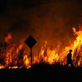 Fore Fire with Firefighter in foreground