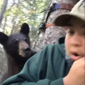 Bear in tree stand