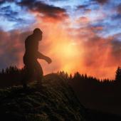Bigfoot