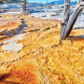 View of Canary Spring, Mammoth Hot Springs