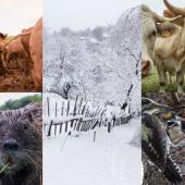 Farmer's Almanac MT Winter collage