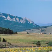 land trusts