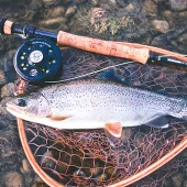 flyfish1