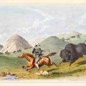 Man trying to escape buffalo, Gatlin