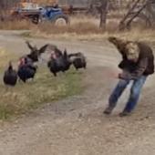 Man running from turkeys
