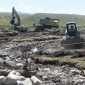 wetland