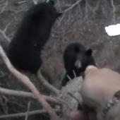 Hunter aiming bear spray at bears