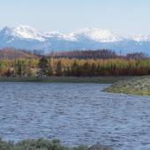 Madison River