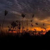 Motorcycle at sunset