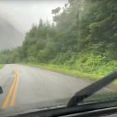 Bear crosses road