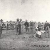 19 Cowboys at Spring Calf Branding Time