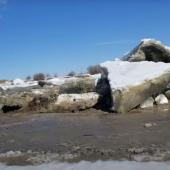 Ice floes on the Yellowstone